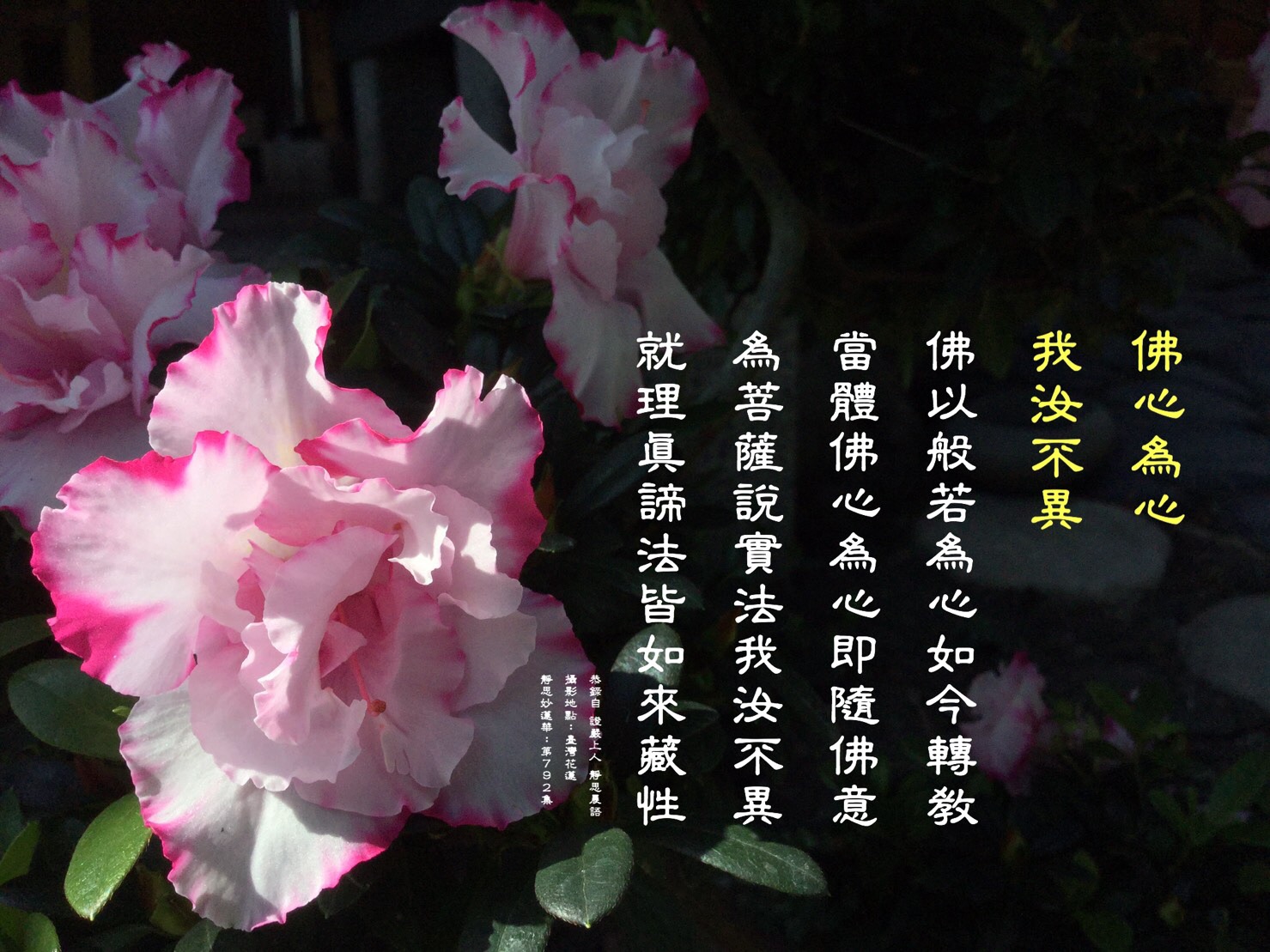 靜思妙蓮華 第792集佛心為心我汝不異 二 靜思妙蓮華 第792集佛心為心我汝不異 二