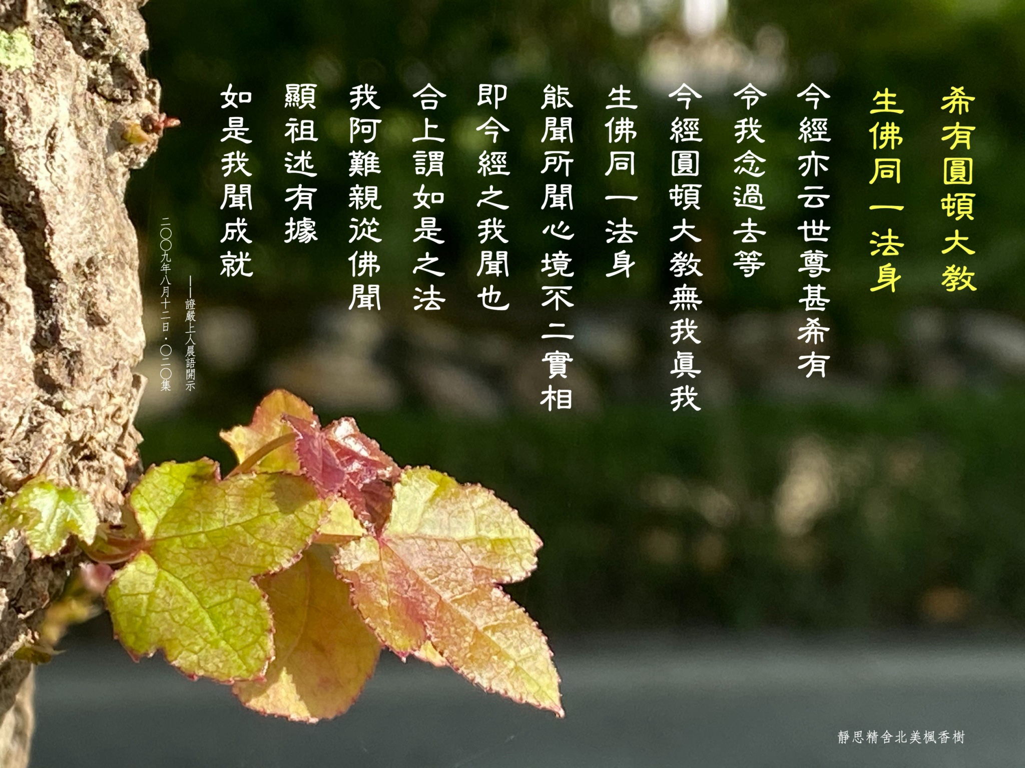 法華經序品第一 0集希有圓頓大教 生佛同一法身